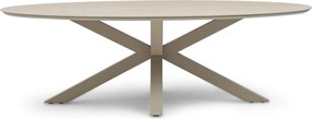 Dining Tuintafel ovaal 240 x 120 cm Taupe Lunea