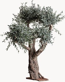 Kunstplant Olivo