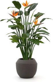 Kunstplant Designplants Luca Lifestyle | Oranje Kunststof | Inclusief bloempot | ø192x54cm | Geschikt voor buiten en binnen | Kees Smit Tuinmeubelen