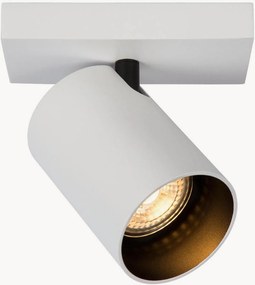 Plafondspot Nuo 1