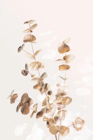 Ilustratie Eucalyptus Creative Gold 03, Studio Collection