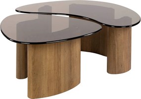 Organische Salontafelset Met Rookglas - 87 X 76cm.