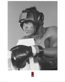 Kunstdruk Muhammad Ali - Training, (60 x 80 cm)