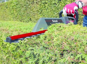 Einhell GC-EH 6055/1 Heggenschaar