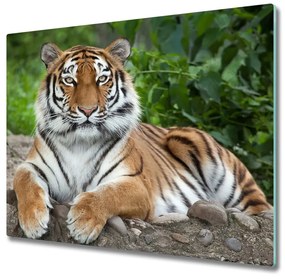 Glazen snijplank Siberische tijger 60x52cm