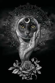 Ilustratie Grimalkin's Glass, Alchemy