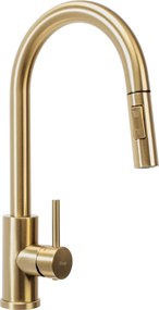 Keukenkraan Rea Fresh Gold Brush