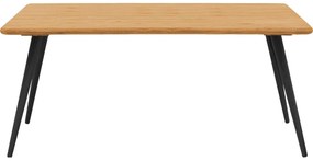 Goossens Eettafel Bjarte, Rechthoekig 200 x 100 cm