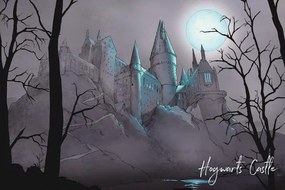 Kunstafdruk Harry Potter - Nocturnal Hogwarts Castlle