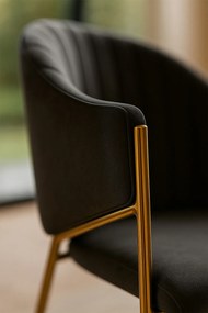 Elegan Stoel Fluweel