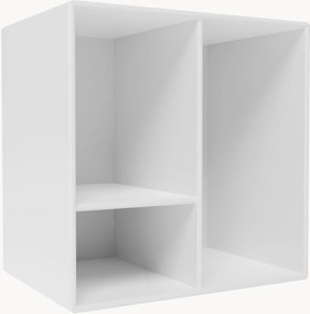 Module Mini 1002