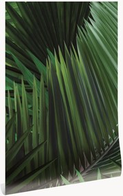 Non-woven wallpaper Palm