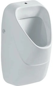 Geberit 300 urinoir boveninlaat 34x34cm met vlieg met KeraTect wit s8602105000g