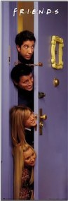 Poster Friends - Door