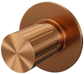 Brauer Stripe inbouw stopkraan koper geborsteld PVD
