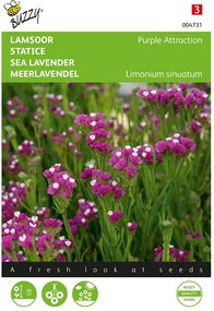 Buzzy seeds - bloemzaden - Limonium, Lamsoor Purple Attraction