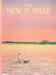 Ilustratie The NY Magazine Cover 346