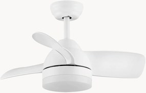 Plafondventilator Nerina met dimbare LED-verlichting en afstandsbediening