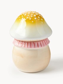 Handbeschilderde opbergpot Magic Mushroom van dolomiet