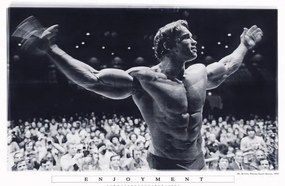 Poster Arnold Schwarzenegger - Enjoyment, (91.5 x 61 cm)