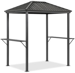 Terni 2 x 1,5m metalen barbecue prieel Tuinpunt