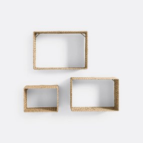 Set van 3 wandrekken in herbarium, Zuric