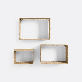 Set van 3 wandrekken in herbarium, Zuric