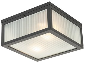 Buiten plafondlamp zwart met ribbel glas 2-lichts IP44 - Charlois