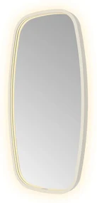 Hotbath &More Contour spiegel deens ovaal 40x80cm RVS