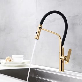 Keukenkraan Rea Castor Black/Gold