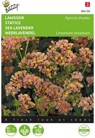 Buzzy seeds - bloemzaden - Limonium, Lamsoor Apricot shades