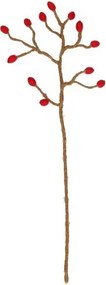 Tak rozenbottel, vilt, 40 cm