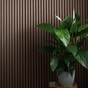 AkuPanel 300 cm Mokka   - Akoestische panelen