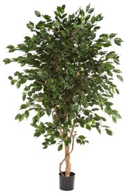 Ficus Exotica kunstplant - 150 cm