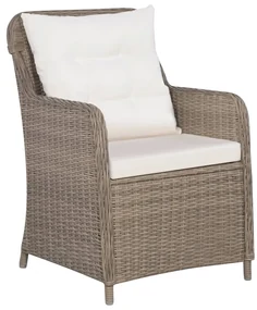 vidaXL Tuinstoelen 2 st met kussens poly rattan bruin