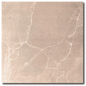 Gepolijste Vloertegel 60x60 Cm Marmerlook Archides Bruin RBT41