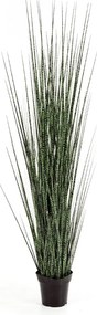Kunstgras Zebra Gracilis - 120 cm