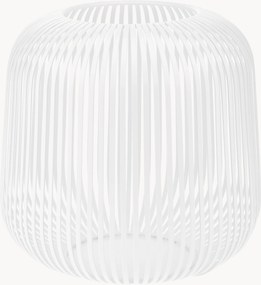 Windlicht Lito, H 27 cm