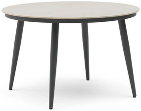Dining Tuintafel rond 120 cm rond Aluminium Grijs Vienna