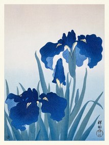 Kunstdruk Blue Iris Flowers (Japandi Vintage) - Ohara Koson, (30 x 40 cm)