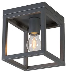 Industriële plafondlamp antraciet - Cage 1 Design, Industriele / Industrie / Industrial, Modern E27 vierkant Binnenverlichting Lamp