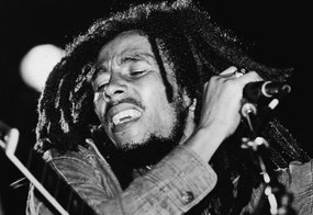 Foto Bob Marley Performs On Stage, Express Newspapers