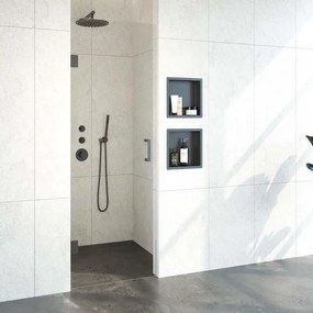 BRAUER Void nisdeur helder glas 70x200 omkeerbaar incl. glascoating PVD gunmetal geborsteld GS-VON1H70200GM