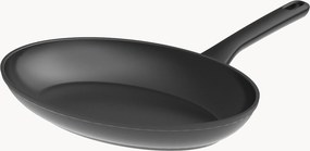 Vispan Helix met antiaanbaklaag
