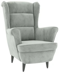 vidaXL Fauteuil fluweel lichtgrijs