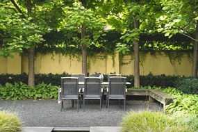 Lesli Living  Tuinstoel Stapelbaar - Monza - Teak - Lesli Living