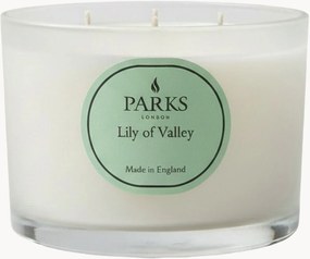Handgemaakte 3-lonts geurkaars Vintage Aromatherapy (meiklokje, witte bloemen & witte muskus)