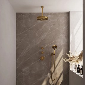 Brauer Stripe inbouw regendouche met 25cm hoofddouche, plafondarm en 3 standen handdouche set 6 messing geborsteld PVD