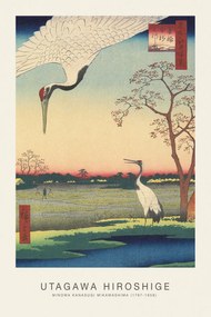 Kunstdruk Minowa Kanasugi Mikawashima (Japanese Cranes) - Utagawa Hiroshige, (26.7 x 40 cm)
