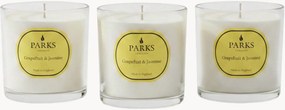 Handgemaakte geurkaarsen Vintage Aromatherapy (grapefruit, jasmijn & witte muskus), 3-delig